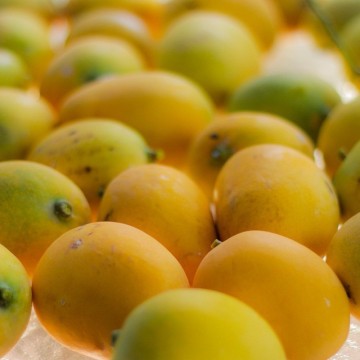 Mango (Cutlass)  per 5