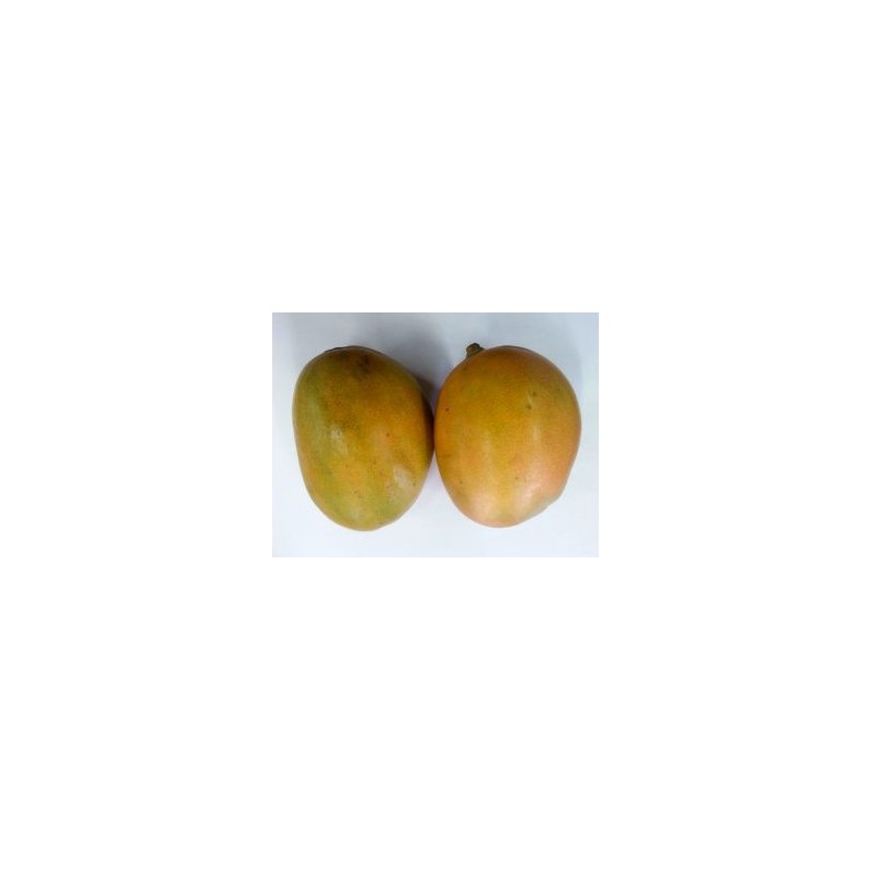 Mango (Julie)  per unit