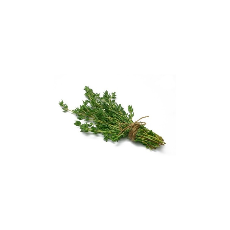 Thyme (Fine leaf) per bdnl