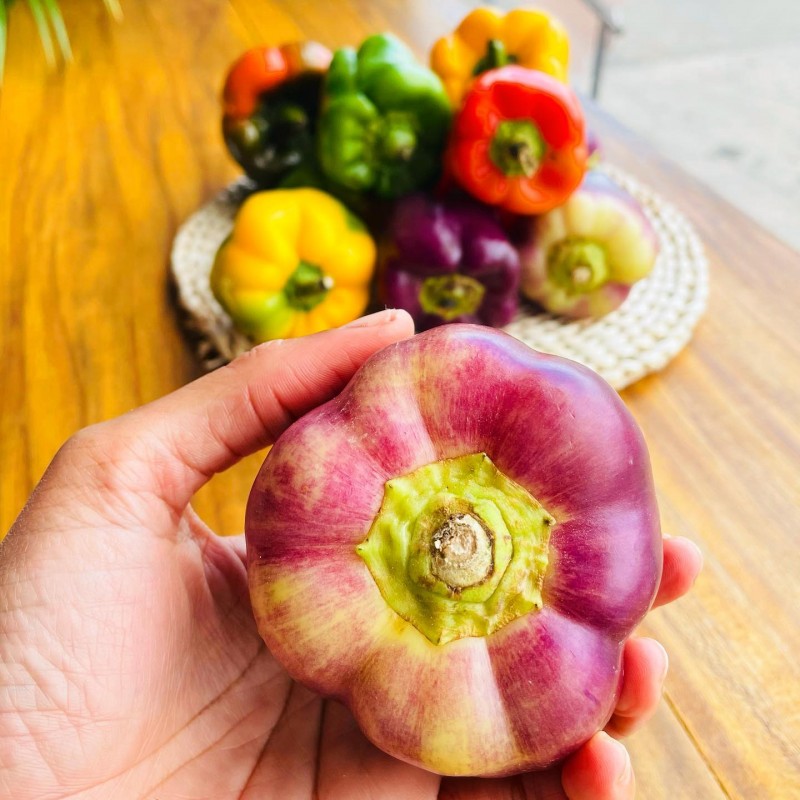 Sweet Peppers  per lb