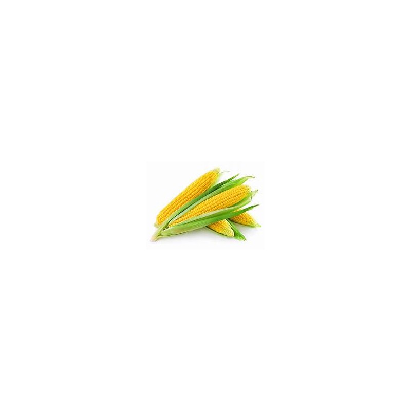 Sweet Corn