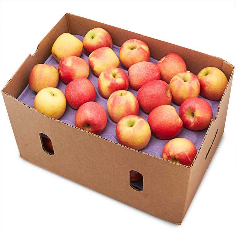 Apples per Case