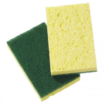 Sponge