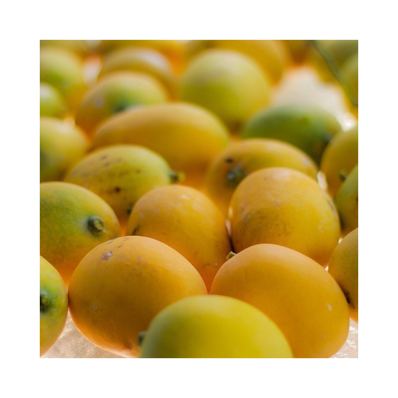 Mango (Starch)  5/$20