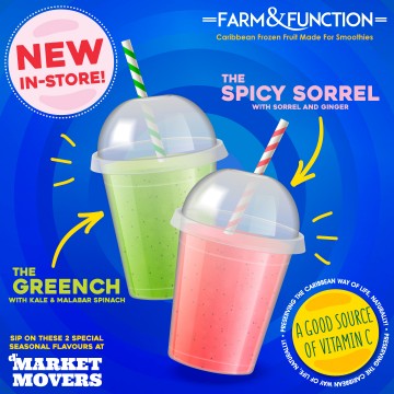 Sorrel & Ginger Smoothie 2