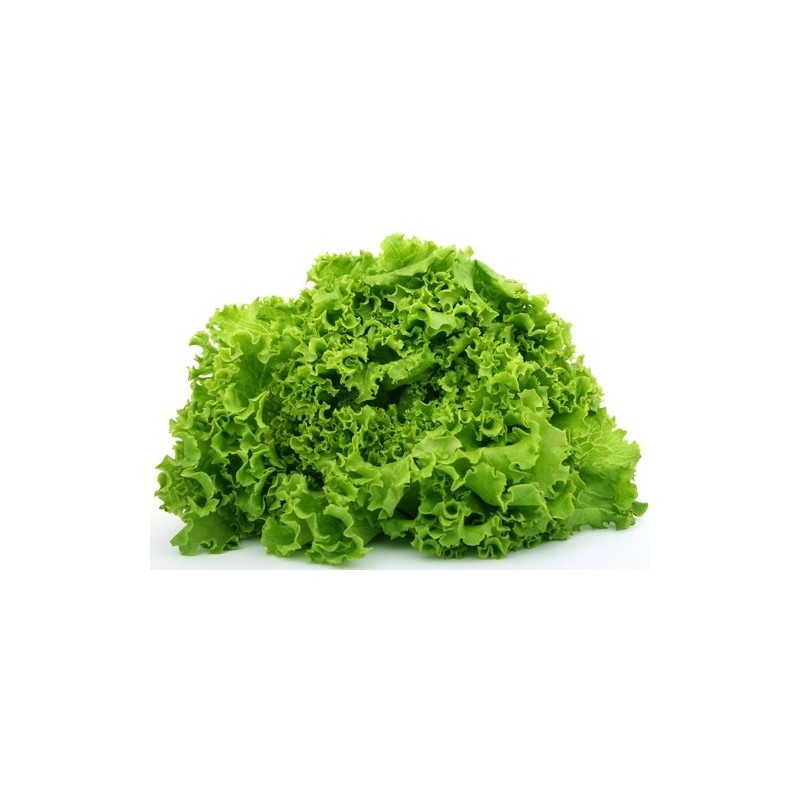 Lettuce per hd