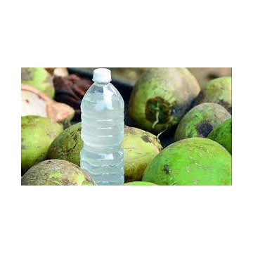 Coconut Water 500ml