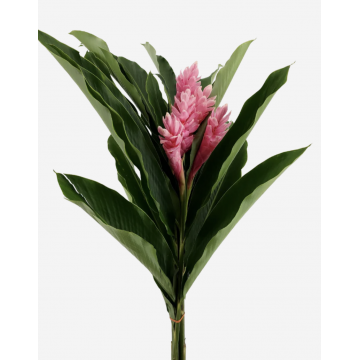 Ginger Lilly Flowers (Lrg)