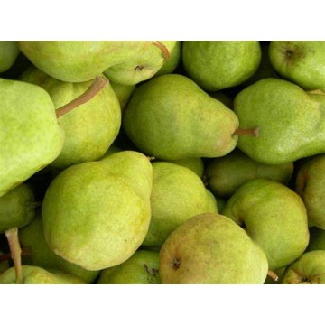 Pears per case
