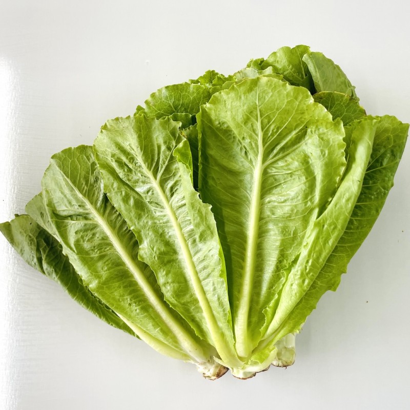 Romaine Lettuce - Organic