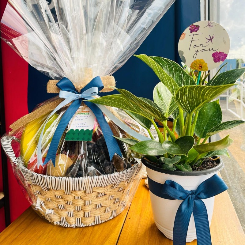 Gift Basket & Herb Plant