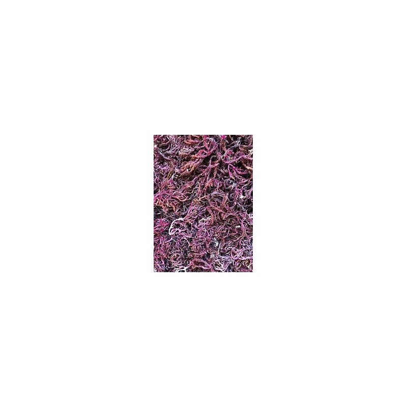 Purple SeaMoss (Organic)