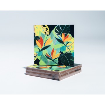 Home Paradise Coaster Set