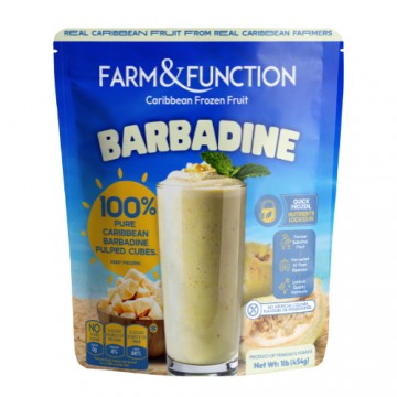 Frozen Barbadine Cubes (454g)