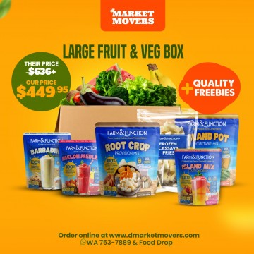 Fruit & Veg Box - Large