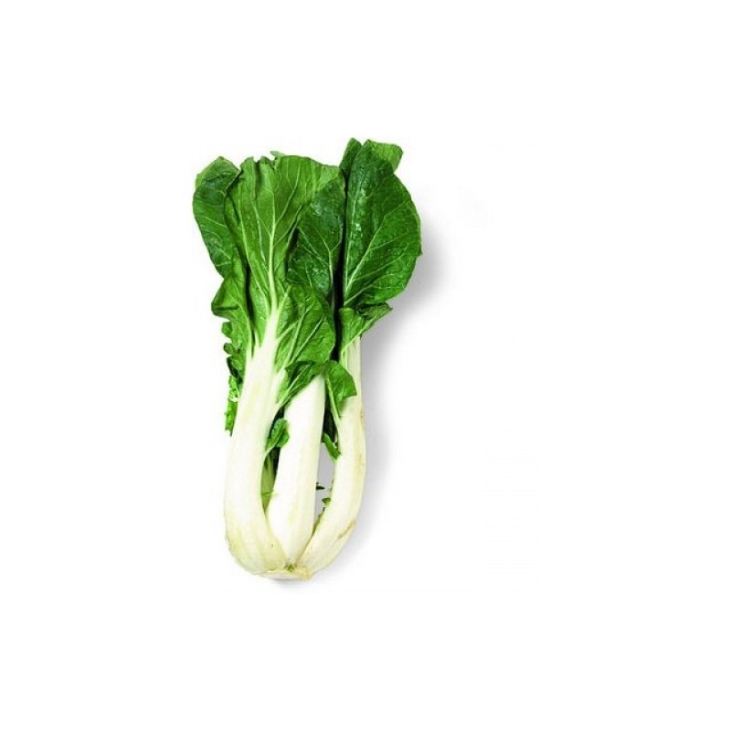 Patchoi Organic per bdnl