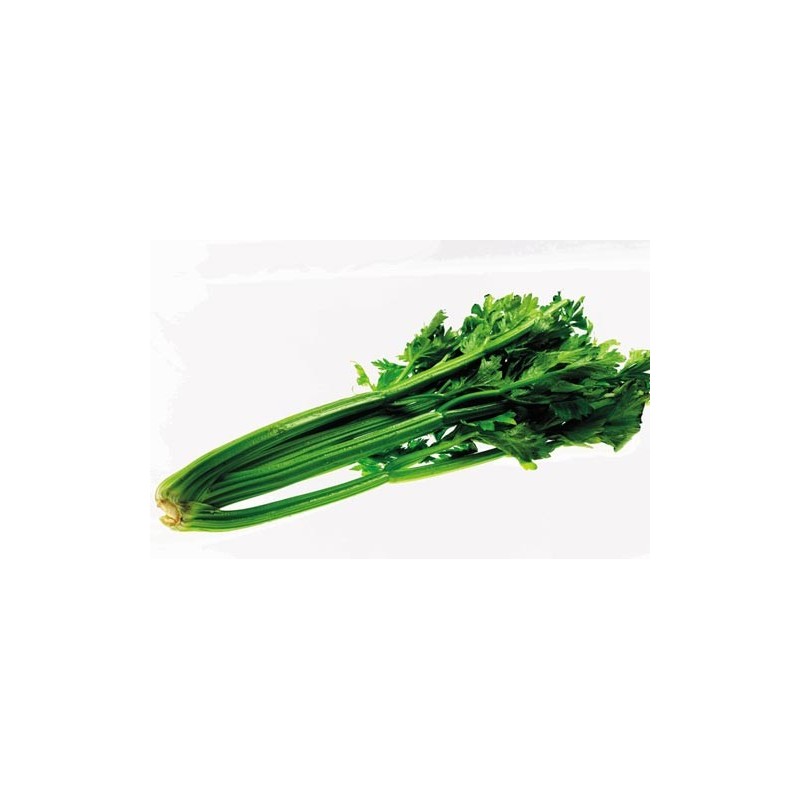 Celery per bdnl