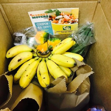 Organic Box Organic Box