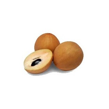 sapodilla