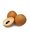 sapodilla