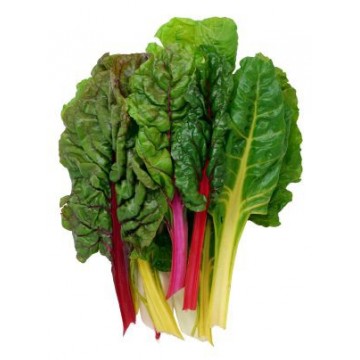 Swiss Chard Swiss Chard