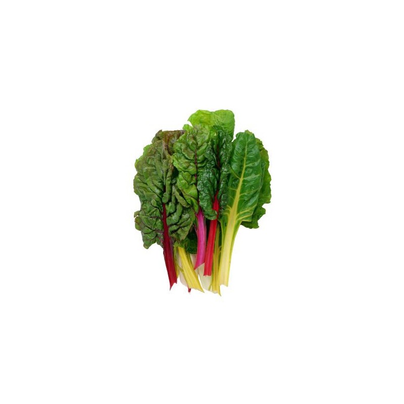 Swiss Chard