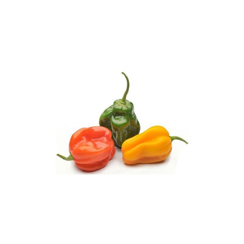 Hot Peppers (S. Bonnet) per 6