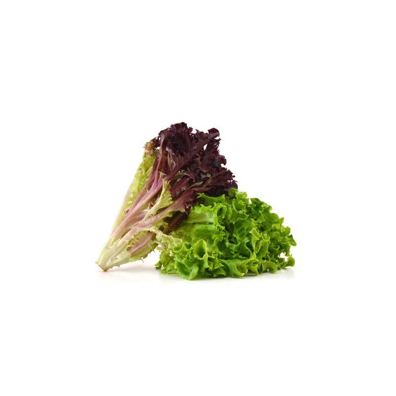 Artisan lettuce mix